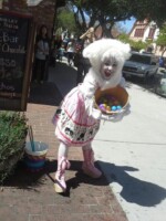 in 2018, as the Easter Bunny! Easter Bunny